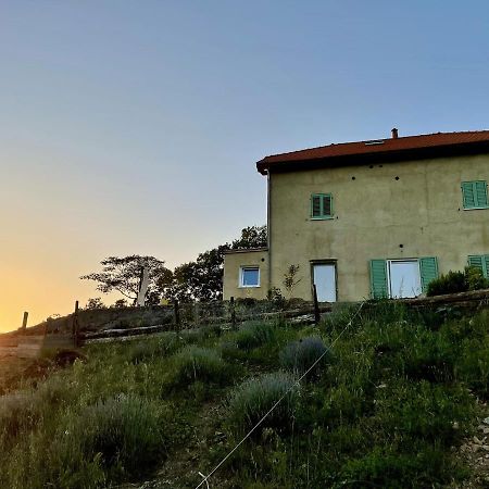 Agriturismo Cascina Cornelli ساسيلو المظهر الخارجي الصورة