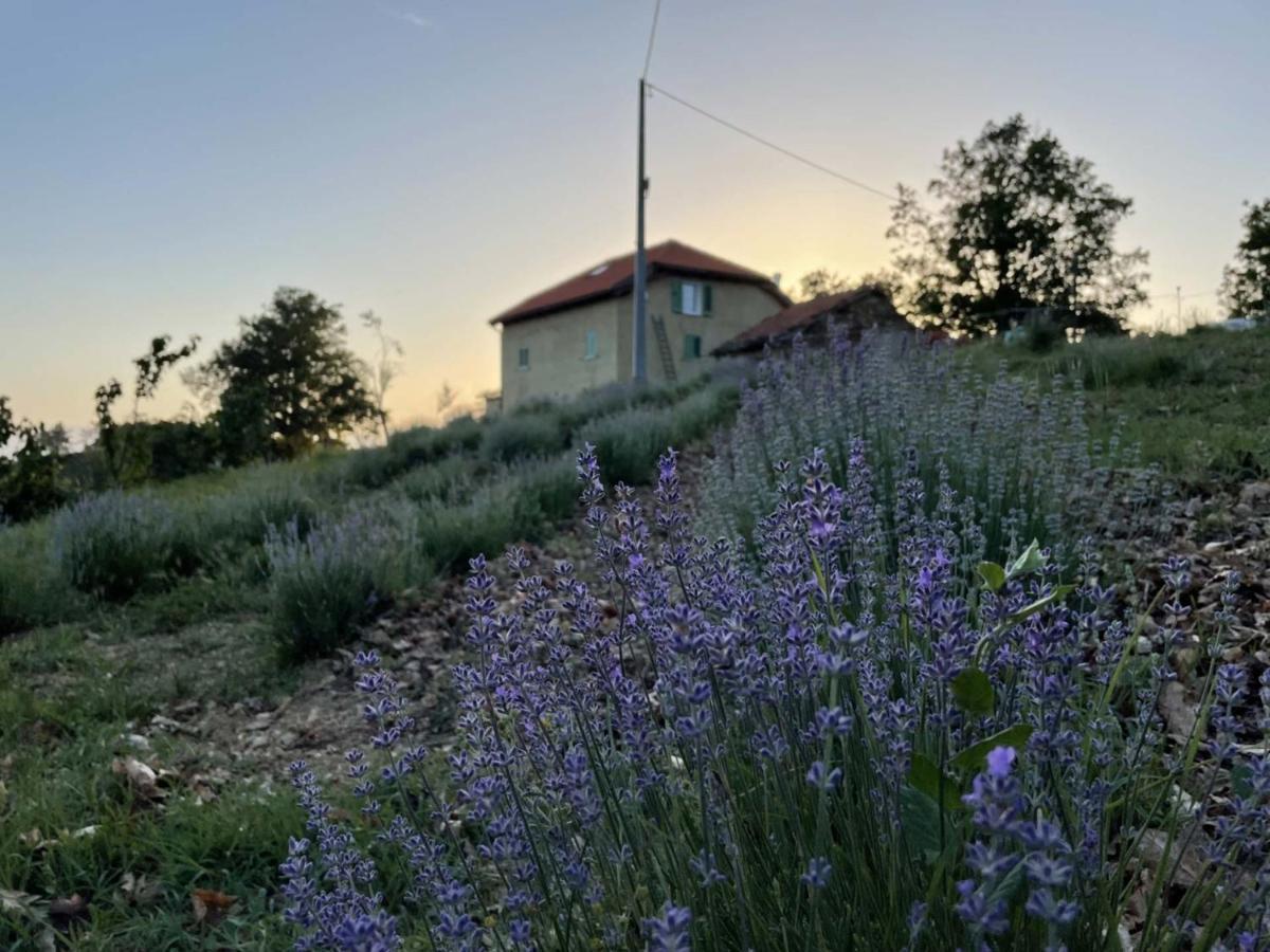 Agriturismo Cascina Cornelli ساسيلو المظهر الخارجي الصورة